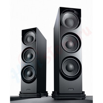 Напольная акустическая система ASCENDO Live 12 Komodo Dragon