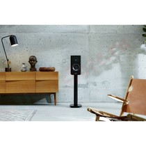 Беспроводная активная акустическая система Dynaudio FOCUS 20 XD