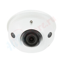 IP камера видеонаблюдения купольная Luma 310 Series Dome IP Camera with Starlight (2MP)