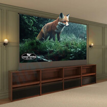 Лазерный ТВ Vividstorm Nexus With Screen 100 (With Screen)